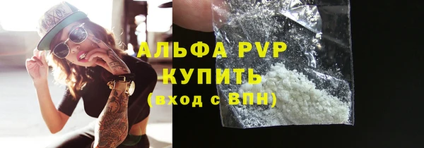 spice Инсар