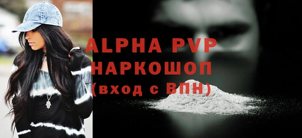 spice Инсар