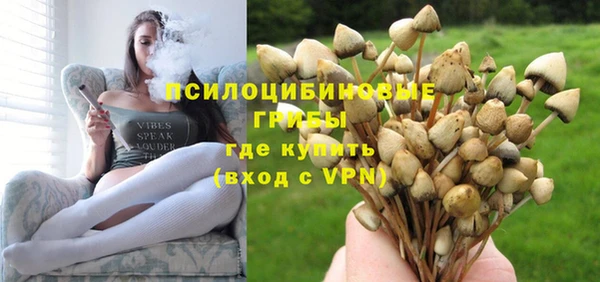мдма Каменногорск