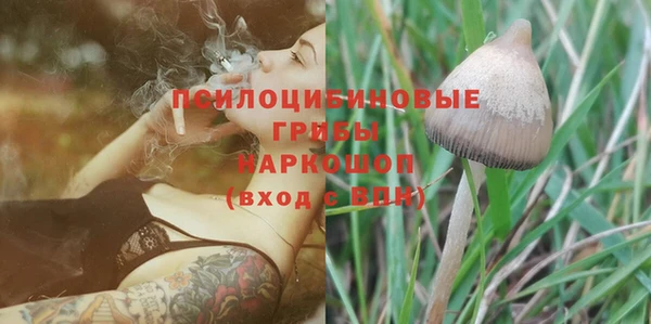 spice Инсар